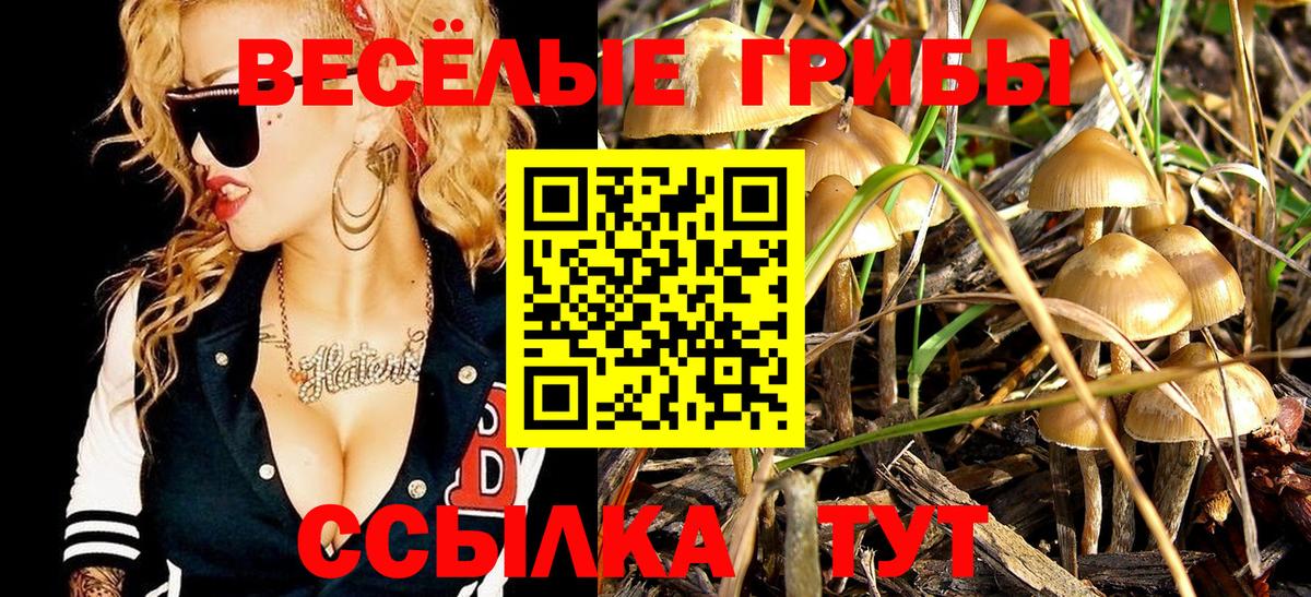 Галлюциногенные грибы мицелий  Вход с VPN  Псилоцибиновые грибы MAGIC MUSHROOMS  Щёлково 
